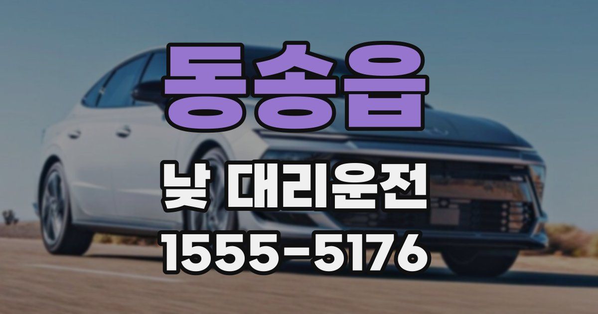 동송읍 낮 대리운전