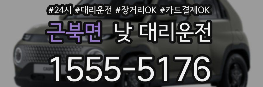 근북면 낮 대리운전