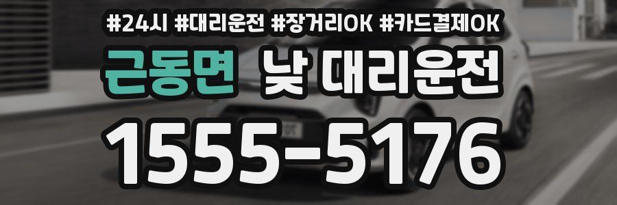 근동면 낮 대리운전