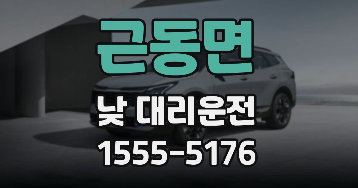근동면 낮 대리운전