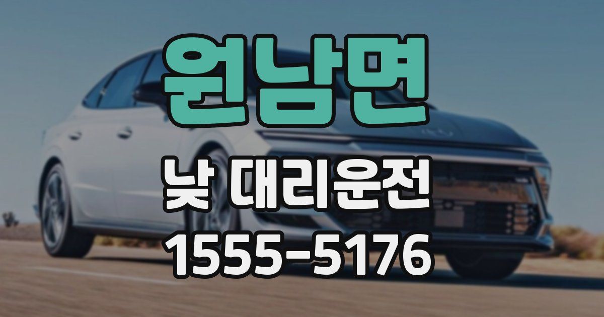 원남면 낮 대리운전