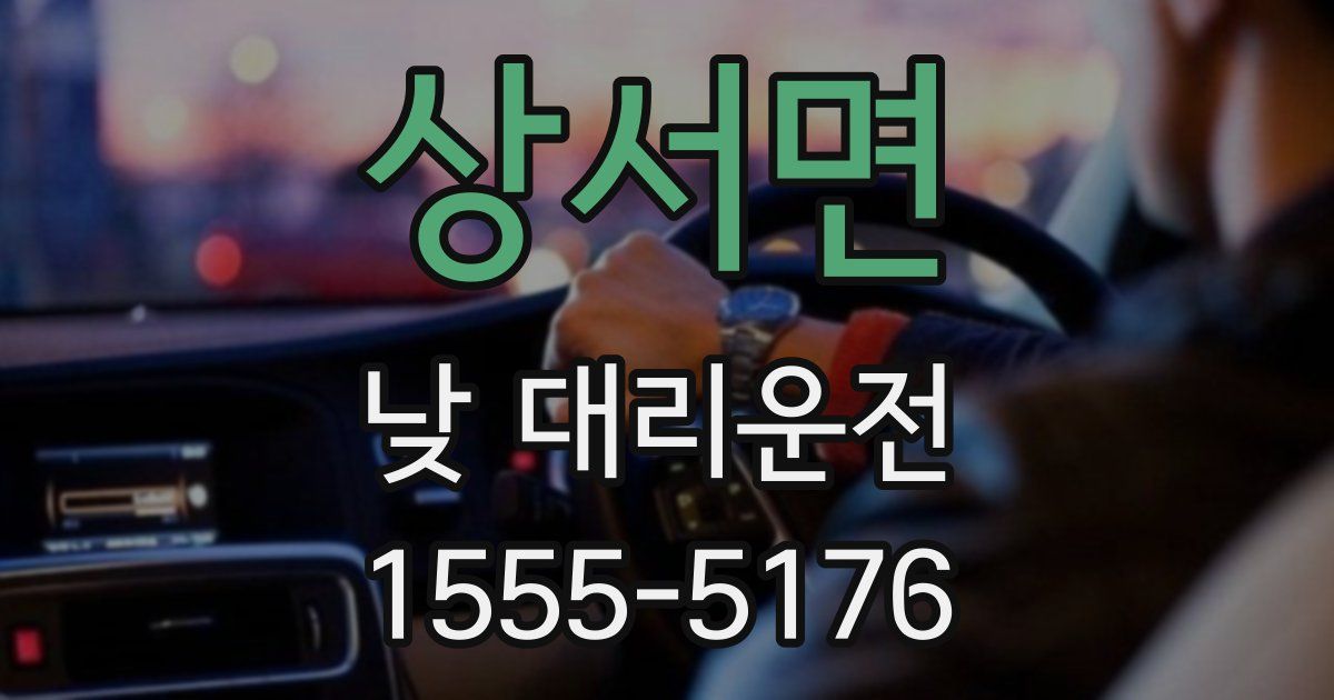상서면 낮 대리운전