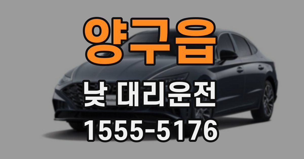 양구읍 낮 대리운전