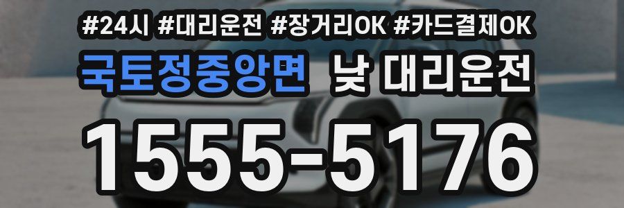 국토정중앙면 낮 대리운전