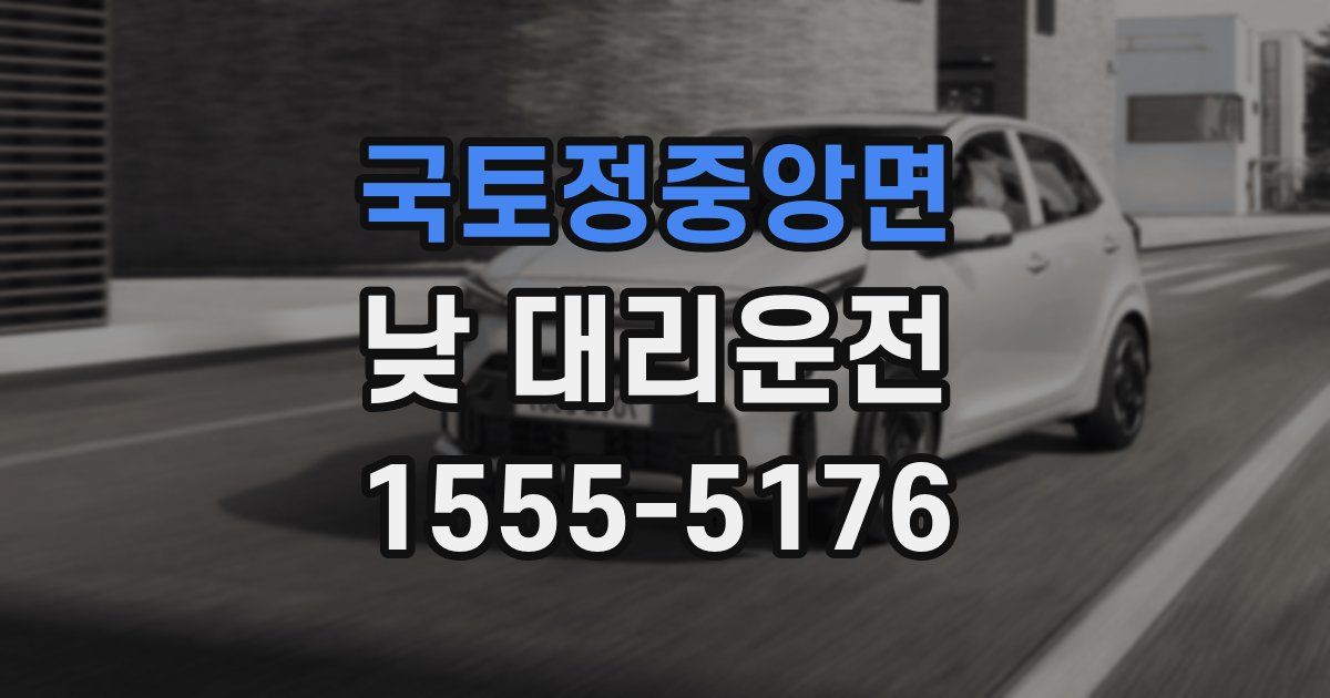 국토정중앙면 낮 대리운전