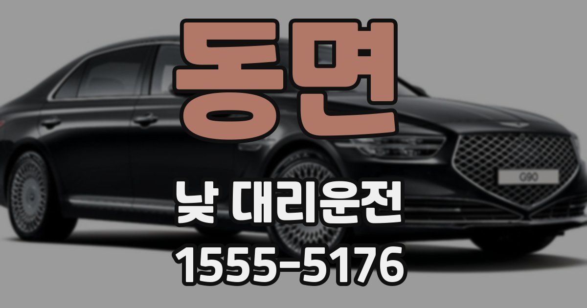 동면 낮 대리운전