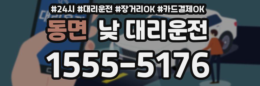 동면 낮 대리운전