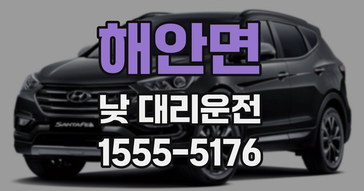 해안면 낮 대리운전