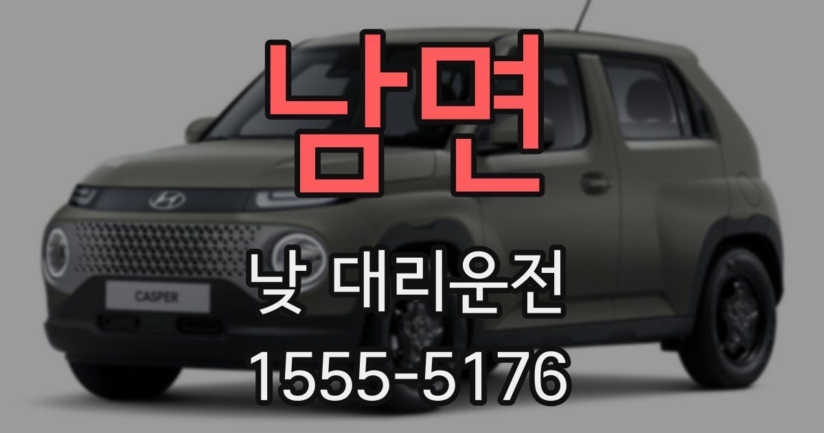 남면 낮 대리운전