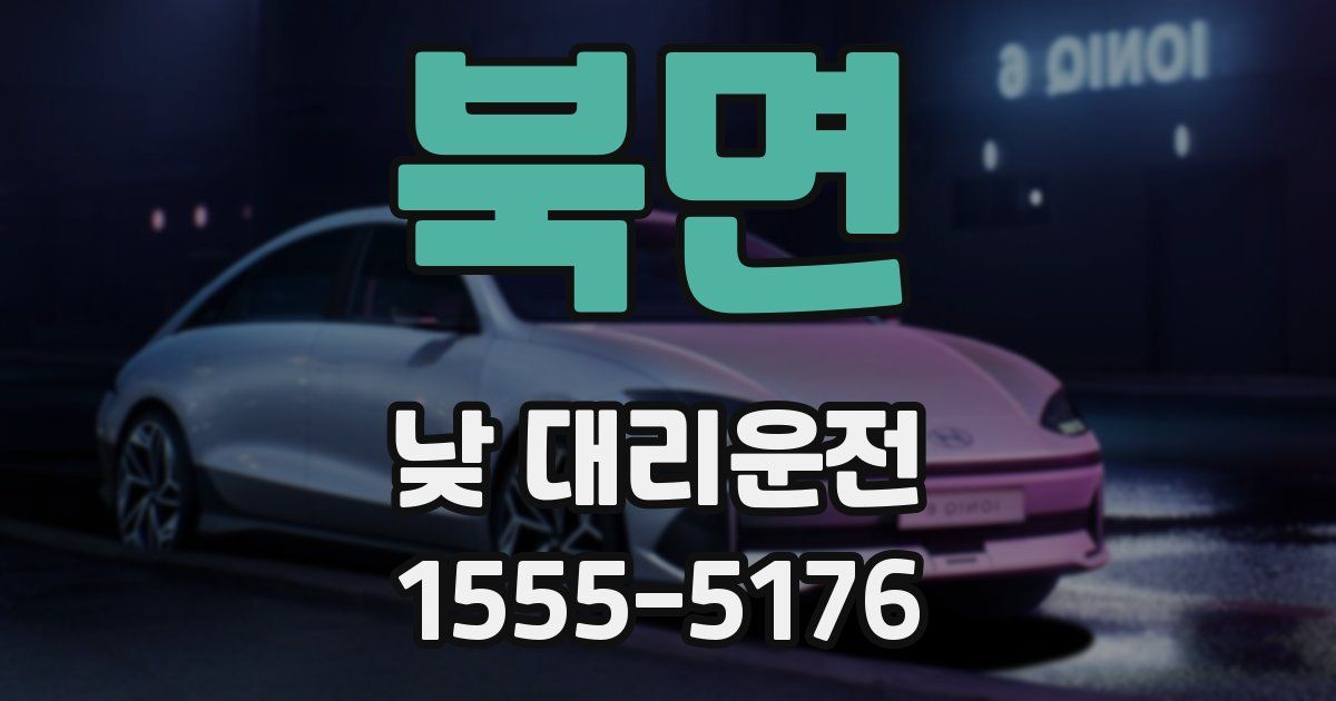 북면 낮 대리운전