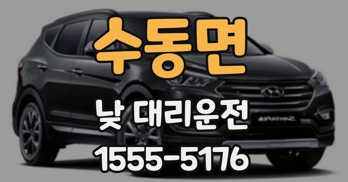 수동면 낮 대리운전
