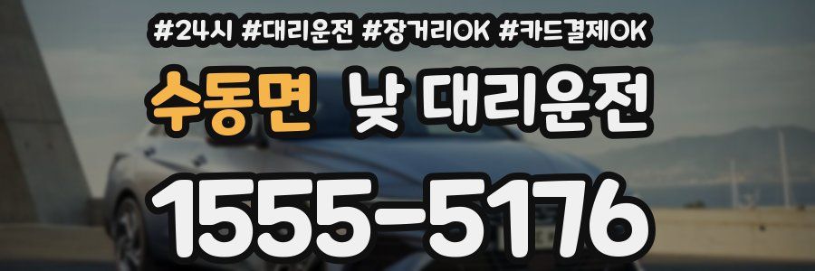 수동면 낮 대리운전
