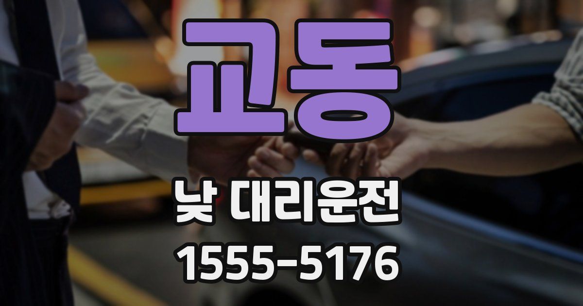 교동 낮 대리운전