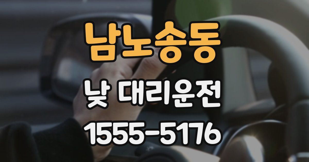 남노송동 낮 대리운전