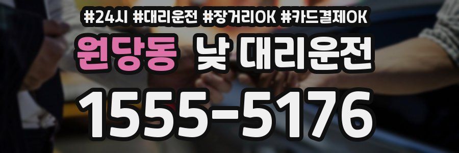 원당동 낮 대리운전
