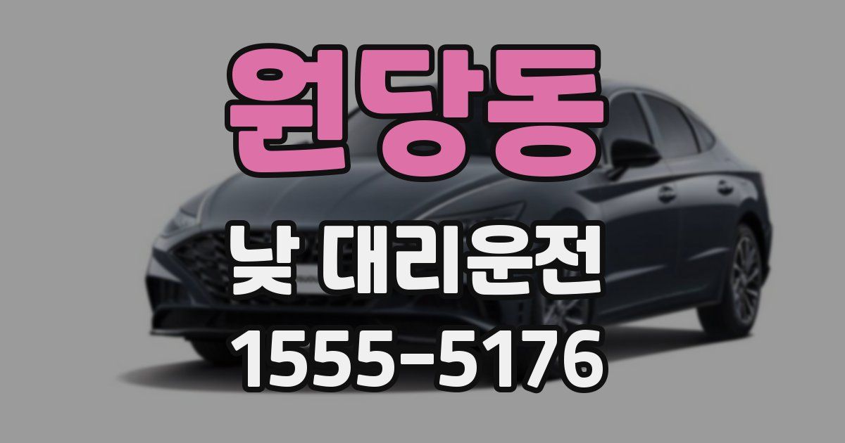 원당동 낮 대리운전