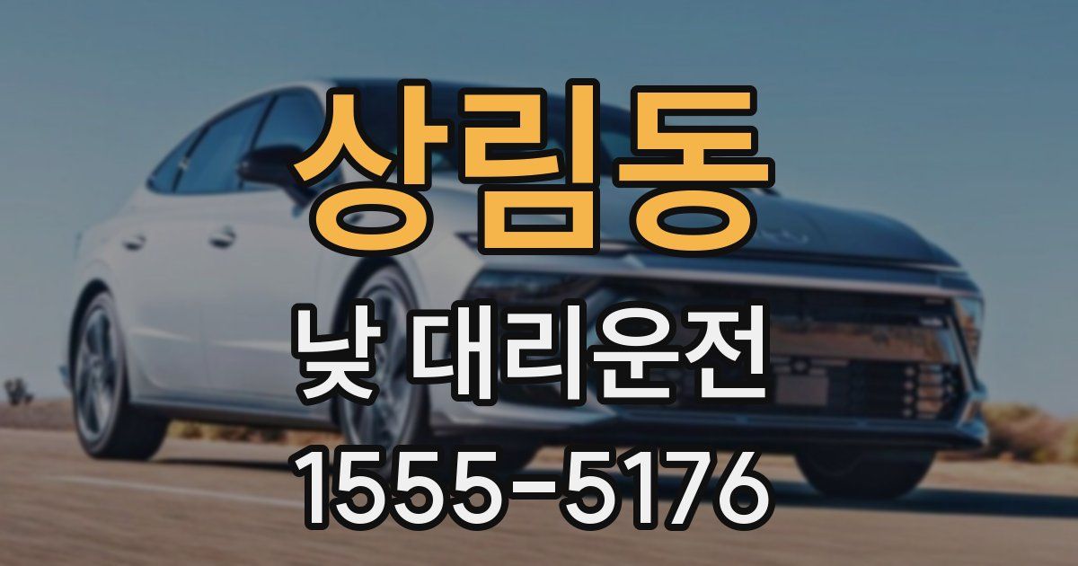 상림동 낮 대리운전