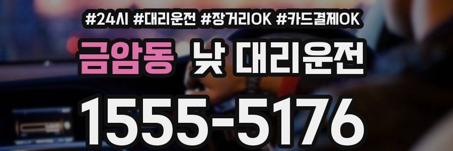 금암동 낮 대리운전