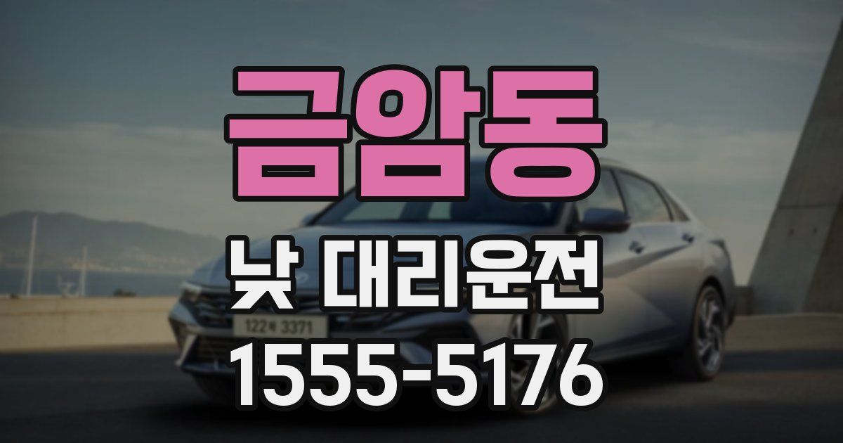 금암동 낮 대리운전
