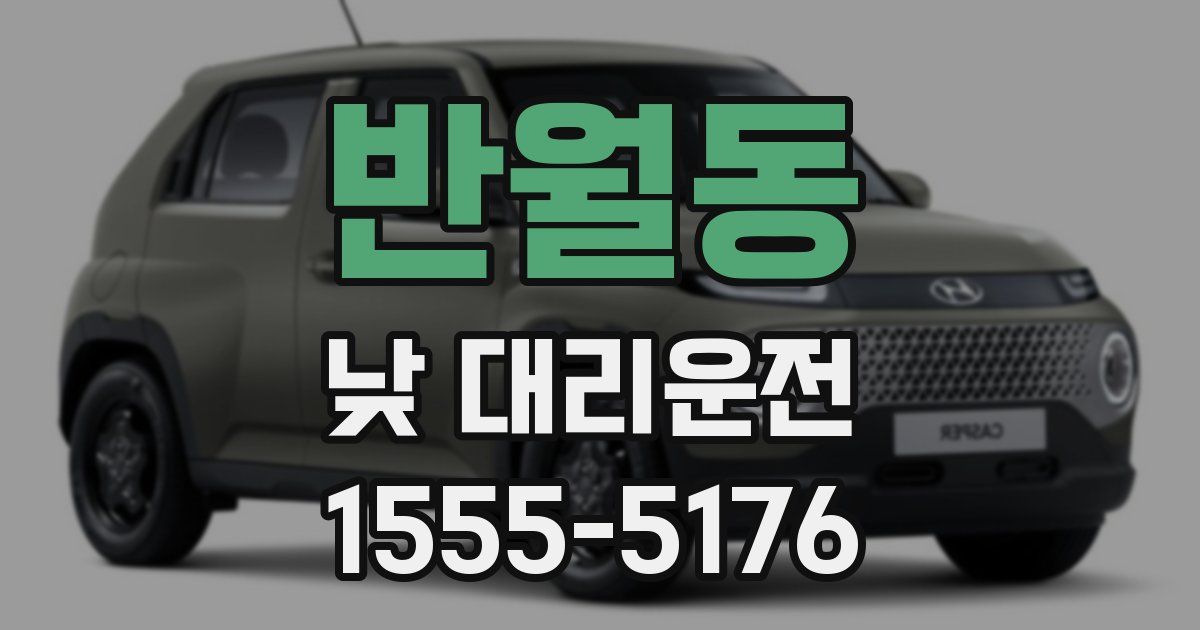 반월동 낮 대리운전