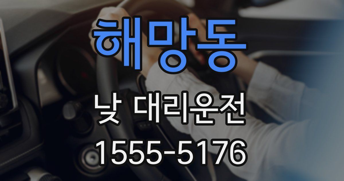 해망동 낮 대리운전