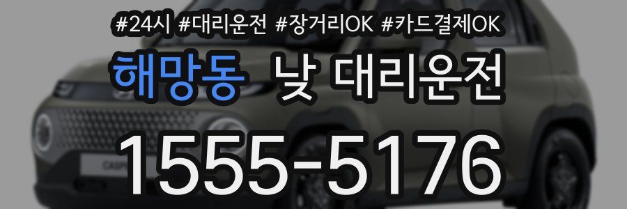 해망동 낮 대리운전
