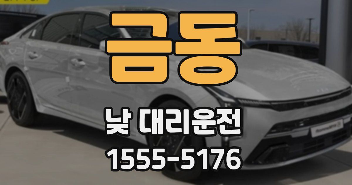 금동 낮 대리운전