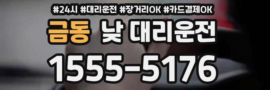 금동 낮 대리운전