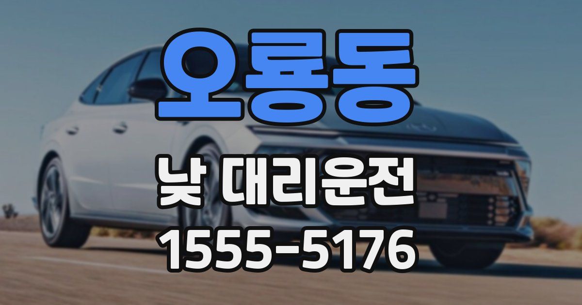 오룡동 낮 대리운전
