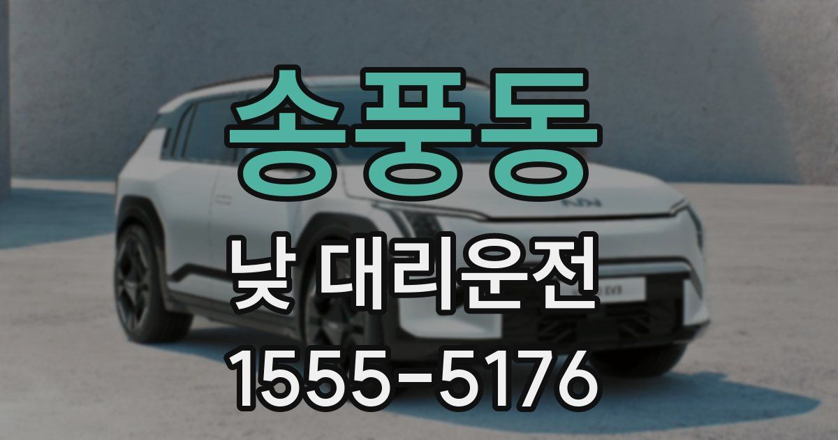 송풍동 낮 대리운전