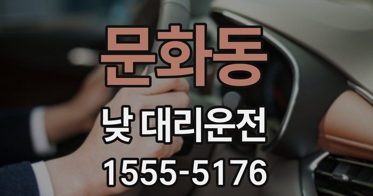 문화동 낮 대리운전