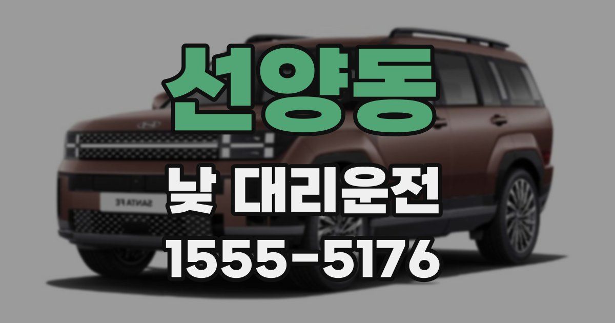 선양동 낮 대리운전