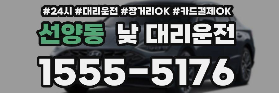 선양동 낮 대리운전