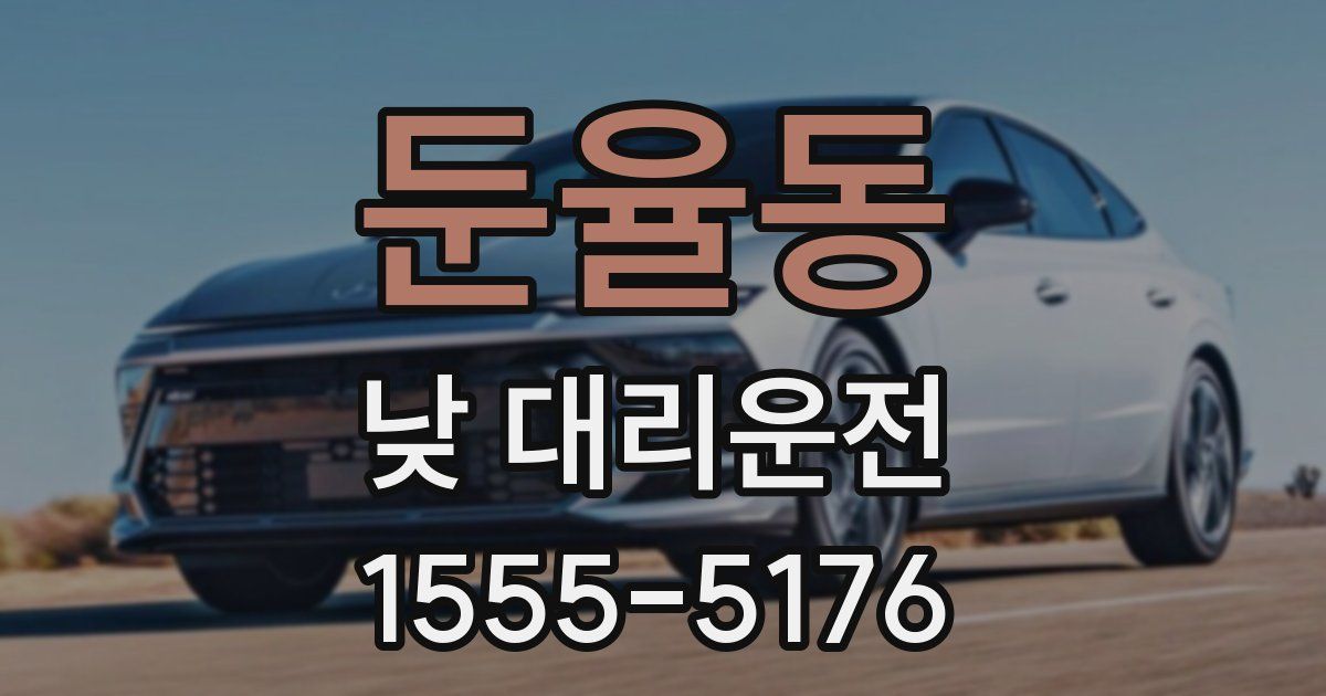 둔율동 낮 대리운전