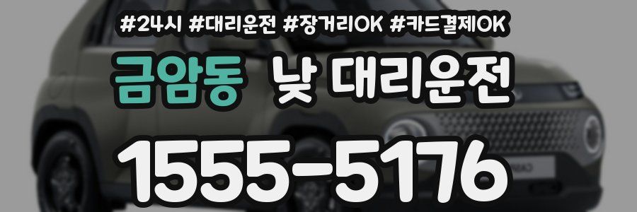 금암동 낮 대리운전