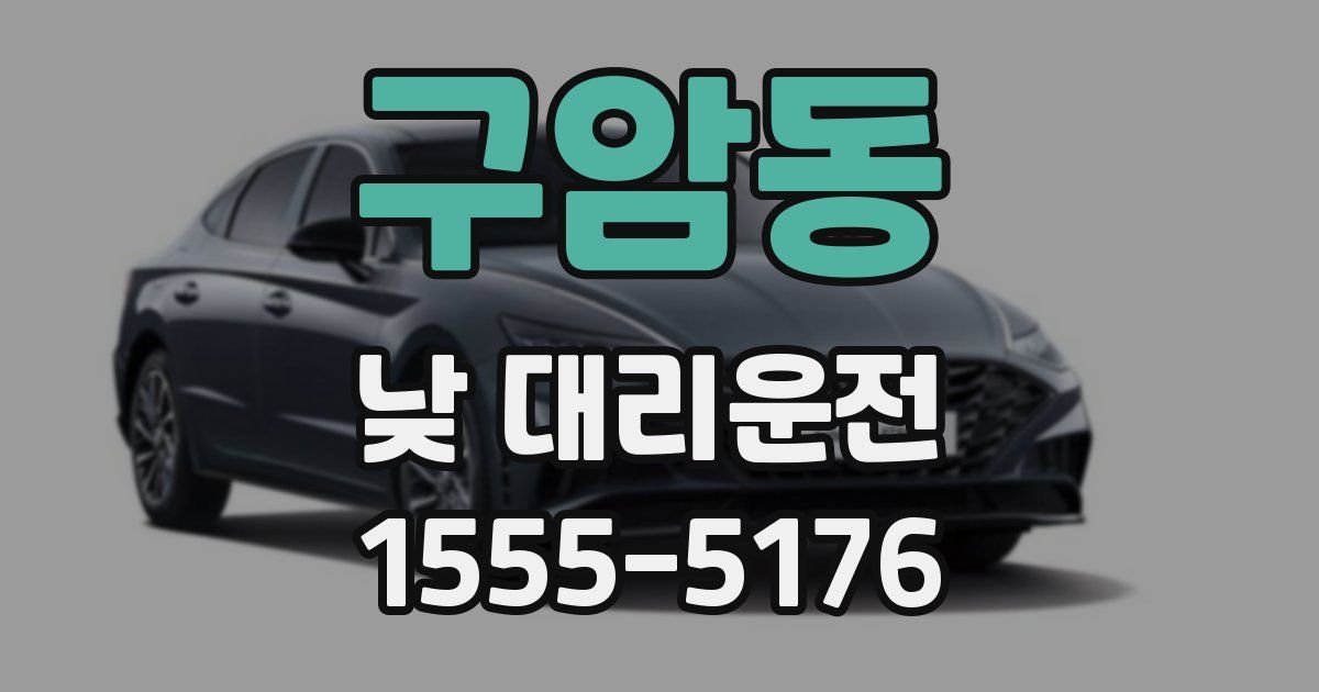 구암동 낮 대리운전