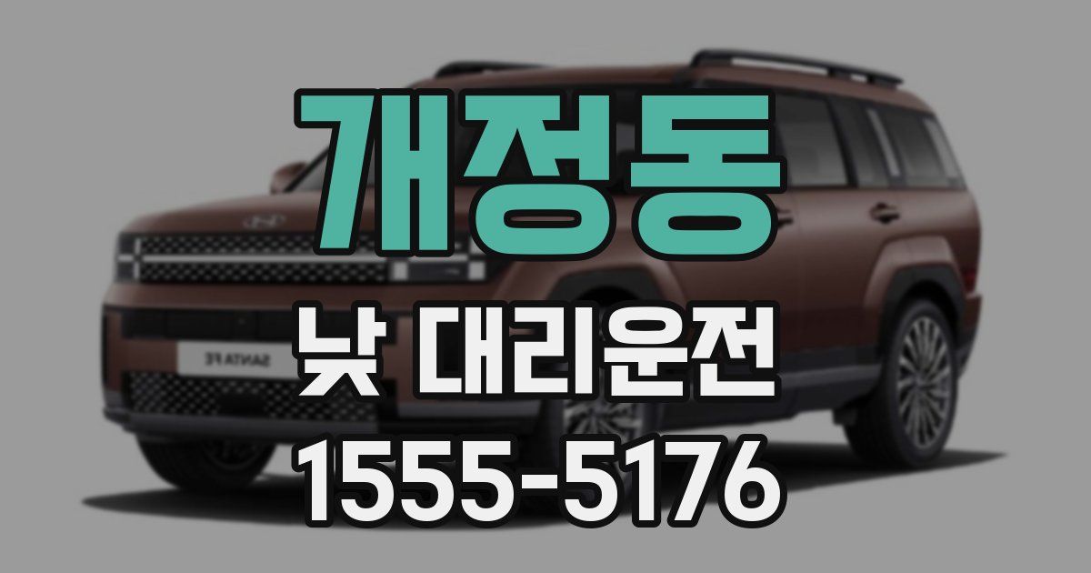 개정동 낮 대리운전