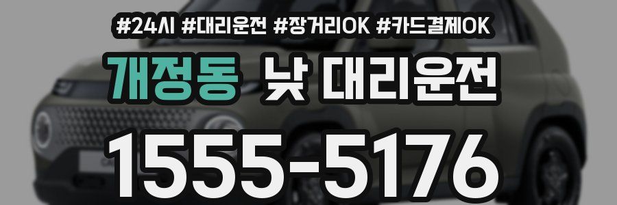 개정동 낮 대리운전