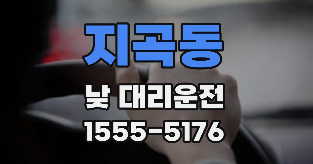 지곡동 낮 대리운전