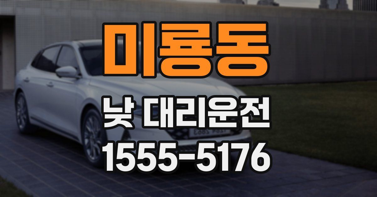 미룡동 낮 대리운전