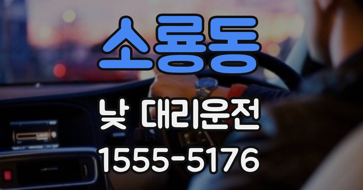 소룡동 낮 대리운전