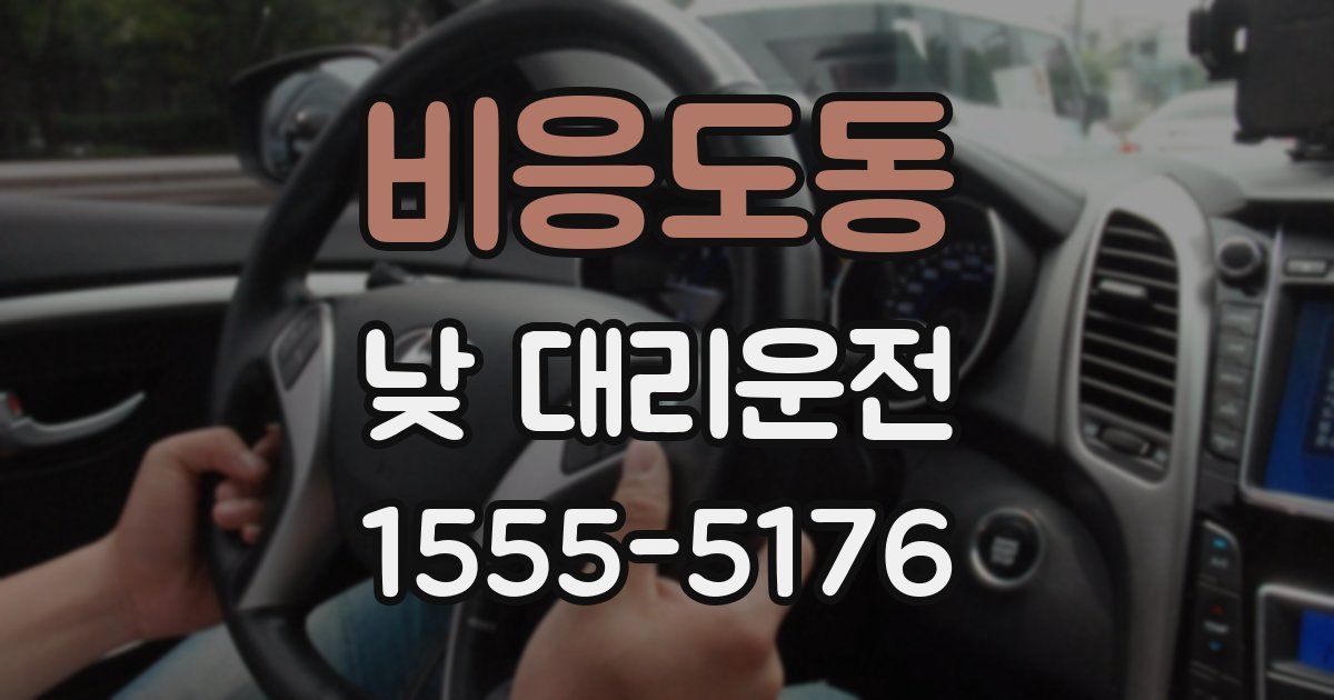 비응도동 낮 대리운전