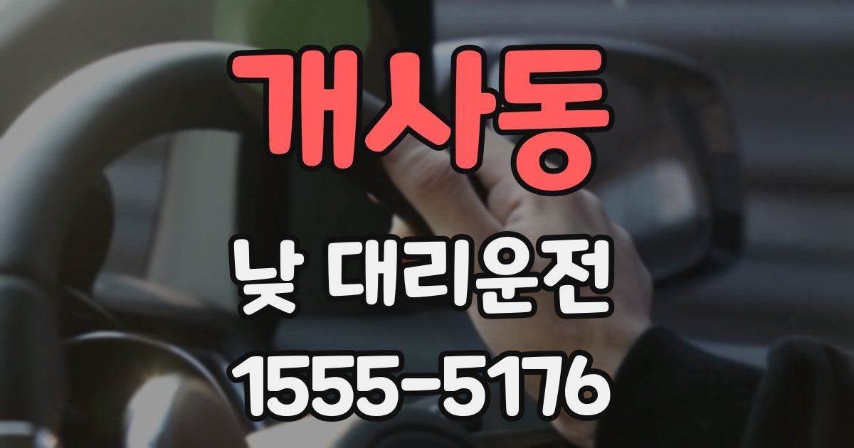 개사동 낮 대리운전