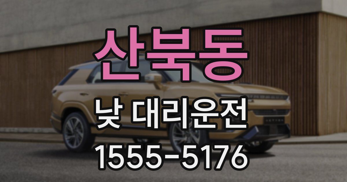 산북동 낮 대리운전
