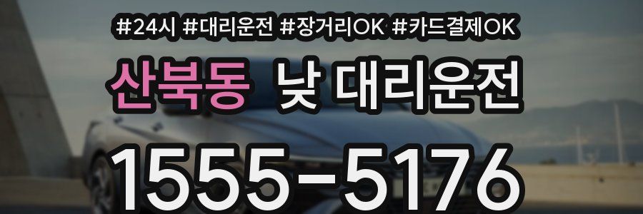 산북동 낮 대리운전