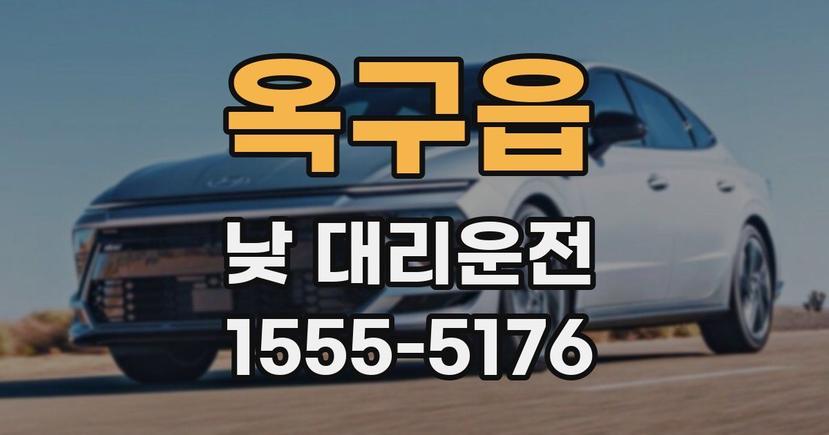 옥구읍 낮 대리운전