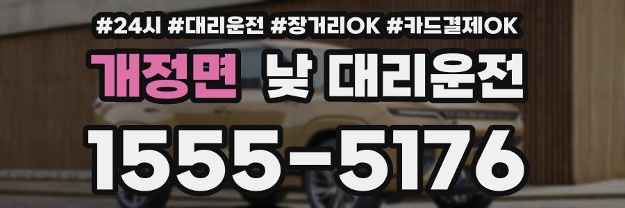 개정면 낮 대리운전