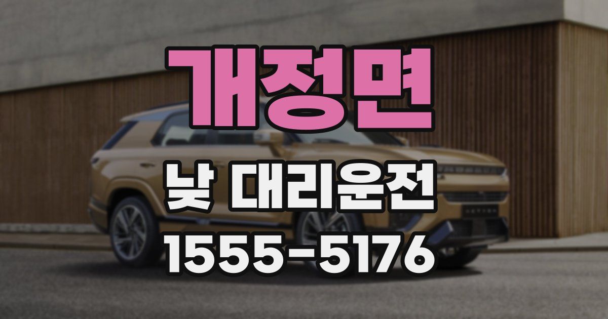개정면 낮 대리운전