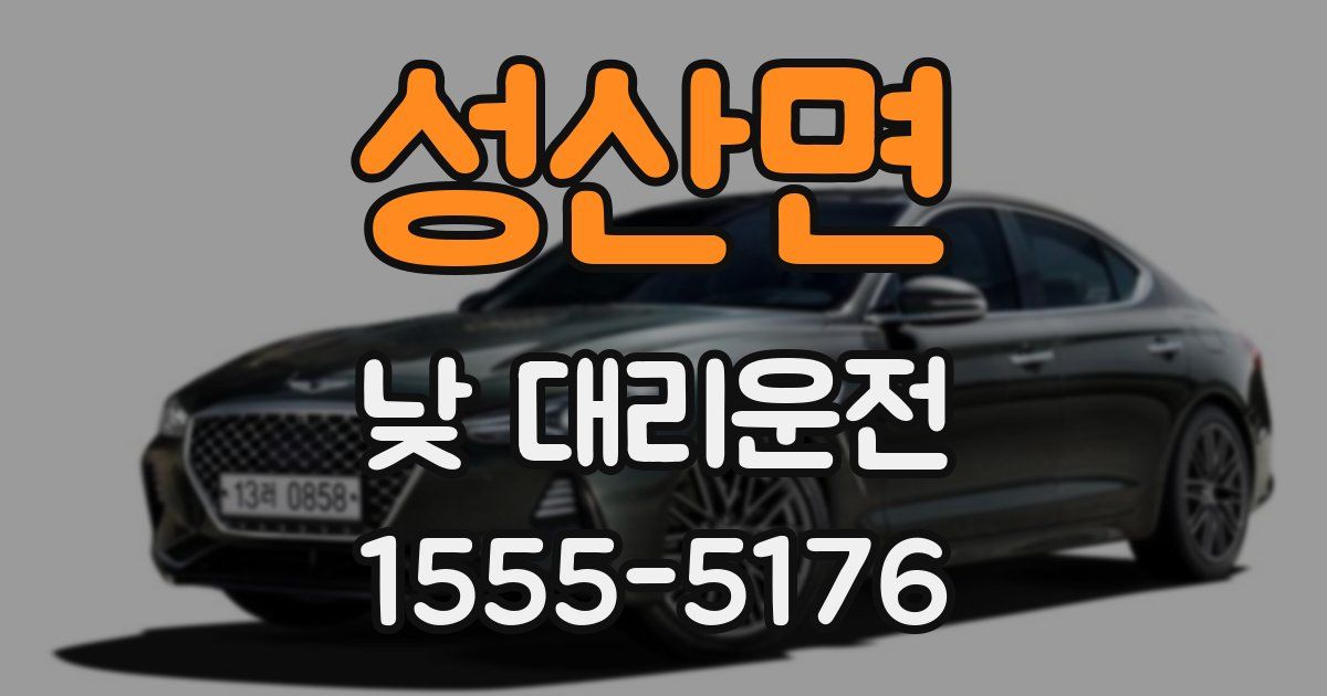 성산면 낮 대리운전