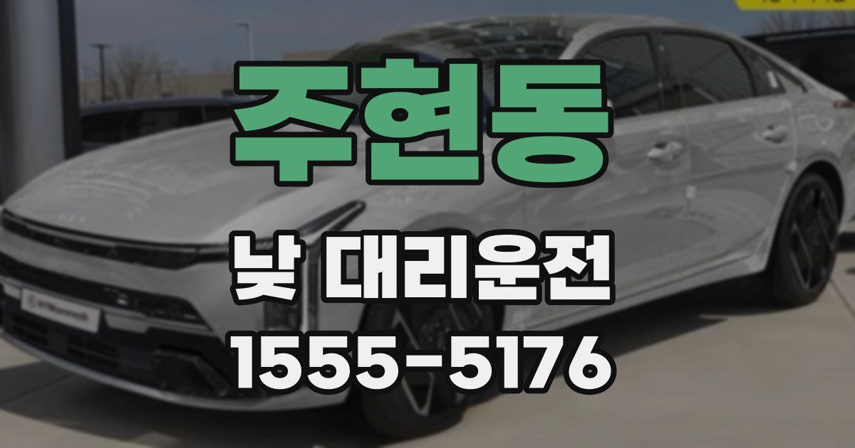 주현동 낮 대리운전